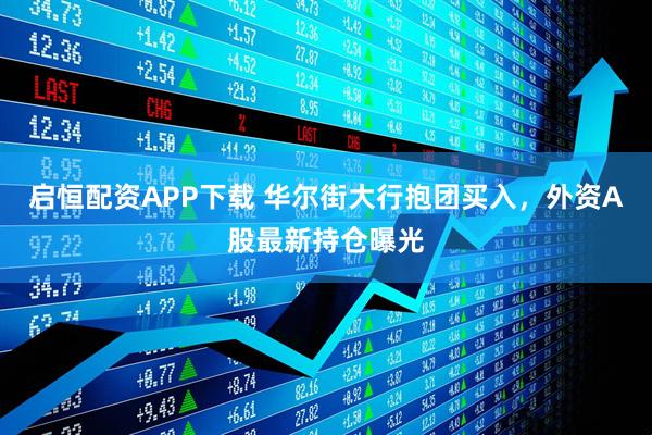 启恒配资APP下载 华尔街大行抱团买入，外资A股最新持仓曝光