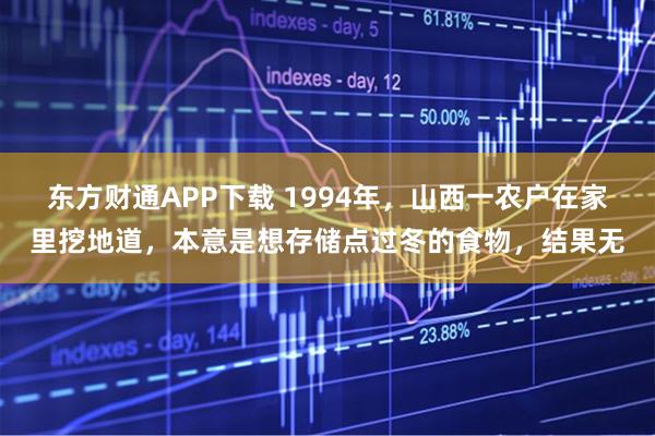 东方财通APP下载 1994年，山西一农户在家里挖地道，本意是想存储点过冬的食物，结果无